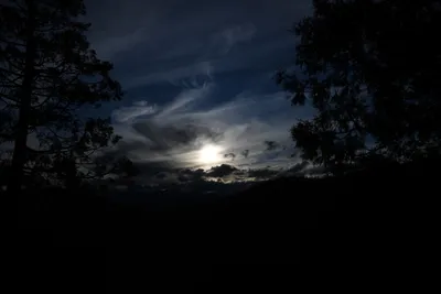 DSC_6791 (Large).JPG